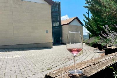 copa de vino rosado en Bodegas Caudalía